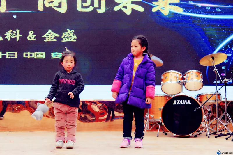 1802139806.jpg 640 28 | 艾尼科Enelco 公司动态 艾尼科&金盛2018年新春年会